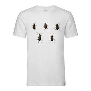 T-SHIRT T-shirt Homme Col Rond Blanc Insectes Minimaliste Biologie Illustration Ancienne