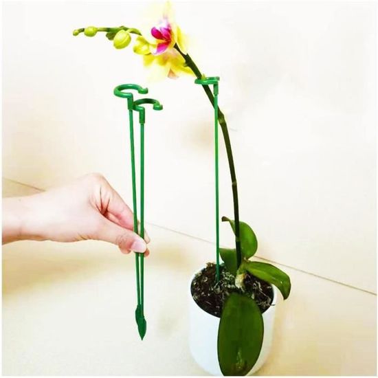 Happyyami Lot De 50 Clips De Jardin En Plastique Réutilisables Pour