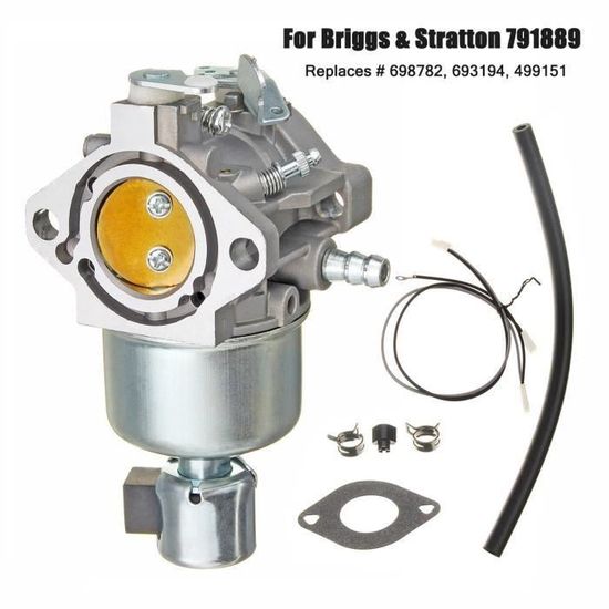 Carburateur Carb Kit Remplacer Pour Briggs & Stratton 791889 698782 693194 499151