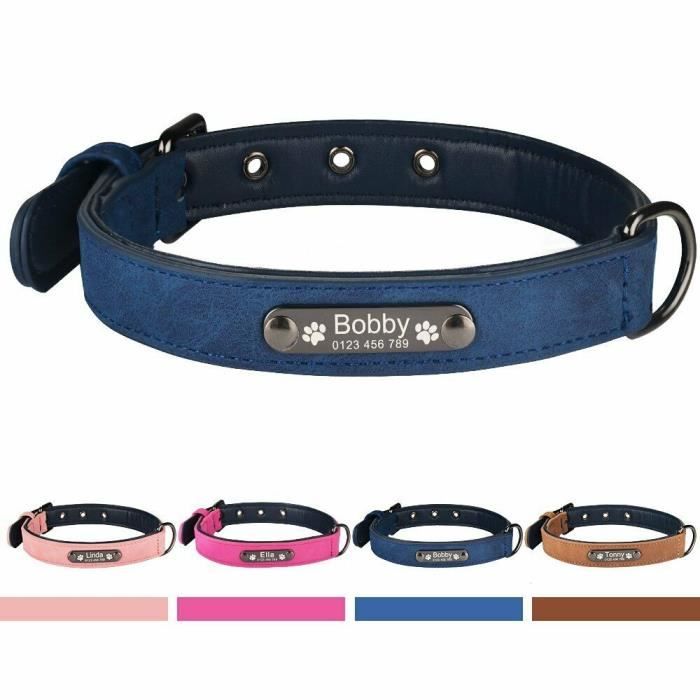 collier -Colliers pour chiens personnalisés - Colliers avec étiquettes d'identification, taille r...- Modèle: Bleu M - HOCWXQC08814