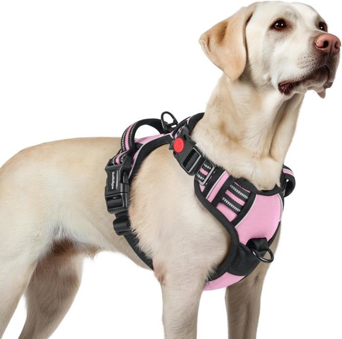 Meilleurs prix pour rabbitgoo Harnais Chien Anti Traction avec 3 boucles pour Chien Facile à Mettre Harnais Réfléchissant Réglable pour Chien Rose L