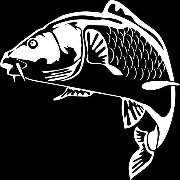 Appât Boîte decal Poisson 7 Vinyle Sticker Van taille 6 x 4 in environ 10.16 cm Windows 15 x 10 cm Voiture