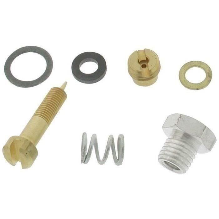 Kit vis de richesse BRIGGS ET STRATTON 299059