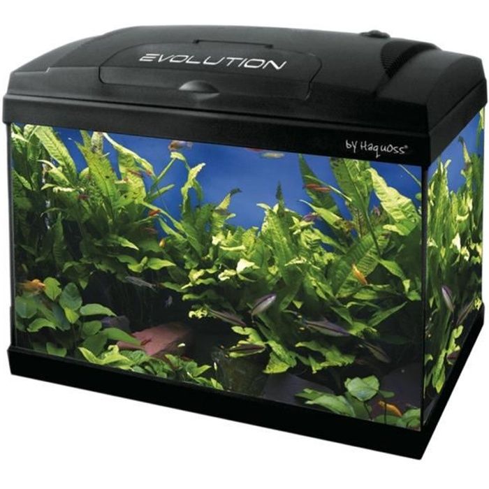 Haquoss , Evolution 40 Aquarium Dimensions 40 x 25 x 34 (H) cm, d