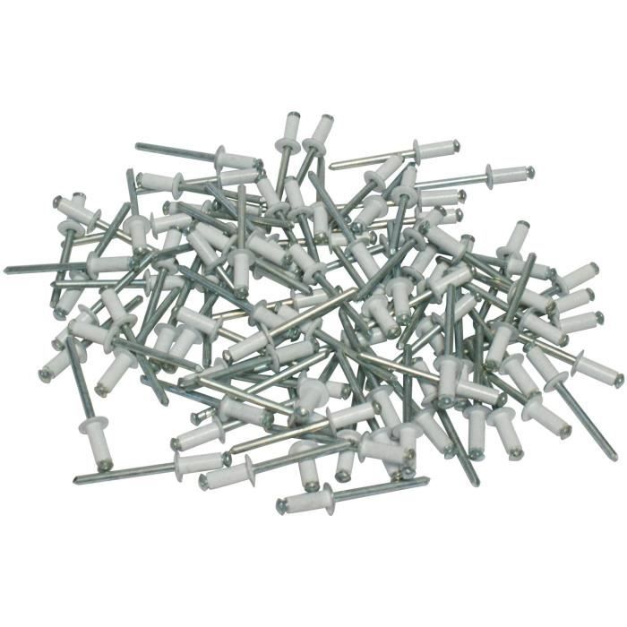 Kit de 100 rivets de fixation pour plaque d