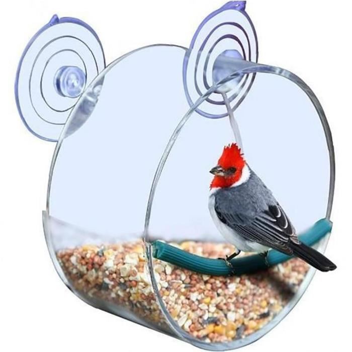 1pc prime Effacer la fenêtre des oiseaux Mangeoire ronde unique Birdhouse  avec de fortes Ventouse (ronde) - Cdiscount