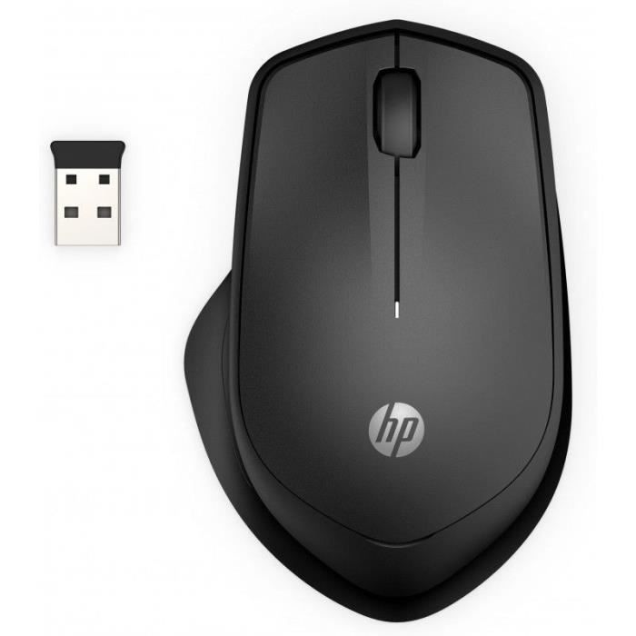 HP Silent 280M Souris - Sans fil - Récepteur sans fil USB - Noir de jais -  Pour OMEN by HP 15, HP 14, ENVY - Cdiscount Informatique