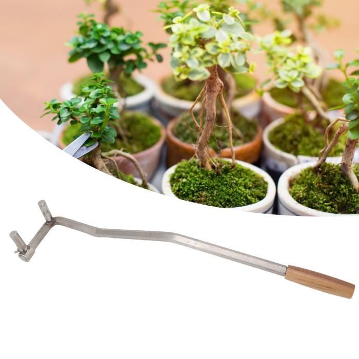 Outil de cintrage de branche de bonsaï Bonsai Branch Bending Tool