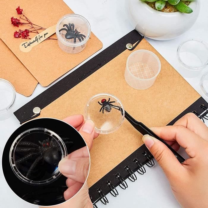 Kit 20 Pièces Boîtes Loupe Pour Insectes - Observatoire Portable Pour Enfants