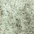 BEST OF - Tapis salon ou chambre à poils longs toucher laineux moelleux 60 x 110 cm Gris Clair-2