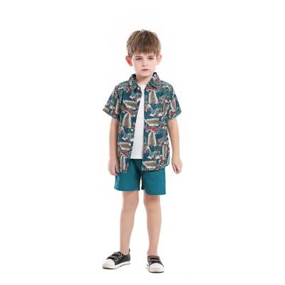 T-shirt Hawaïen Enfant - Manches Courtes, Imprimé Multicolore Funky | Tenue Décontractée Pour Été, Plage, Vacances