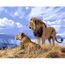 Wonzom Tableau Peinture Diy 40x50cm No Cadre Materiel Toile Lin