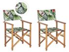 BELIANI Lot de 2 chaises de jardin bois clair et gris à motif toucan CINE