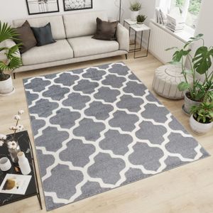tapis et moquettes tapis de salon orient avec des fils en gris creme maison
