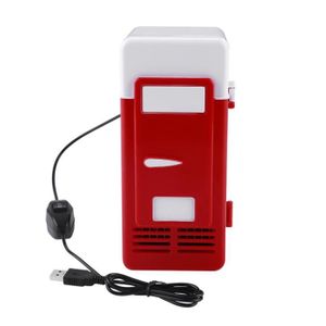 Esistono mini frigo con caricabatterie USB integrati?