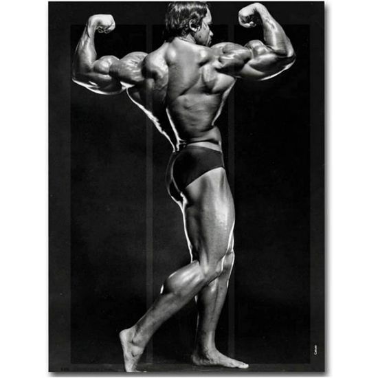 Poster Arnold Schwarzenegger Motivational Bodybuilding - Affiche Murale 30x45 Cm