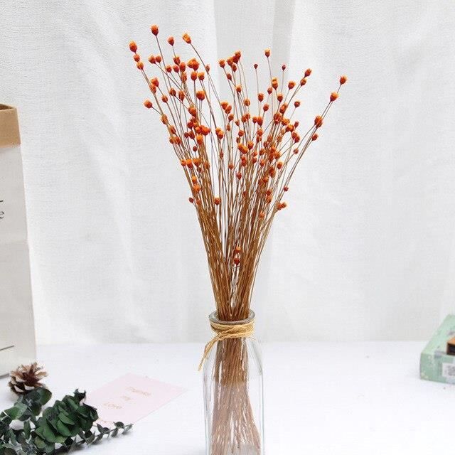 50 pièces réel heureux fleur petites fleurs séchées naturelles Bouquet fleurs sèches presse Mini décoratif photographie ES2791