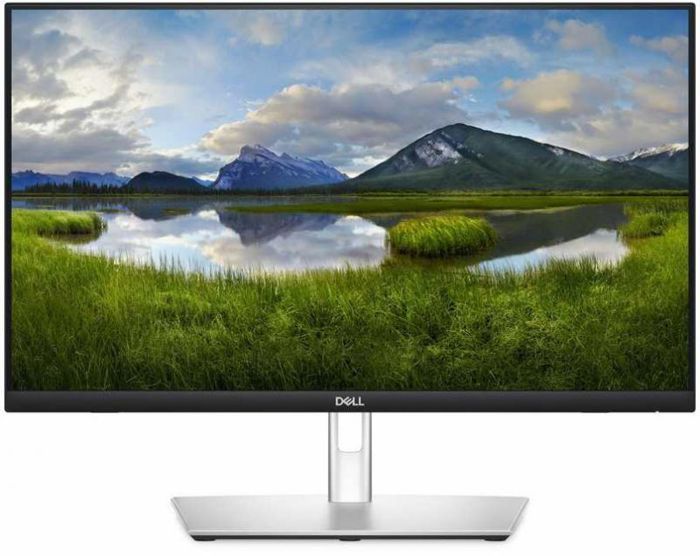 Moniteur Tactile Dell P2424HT 24 pouces 1920 x 1080 IPS HDMI DisplayPort USB