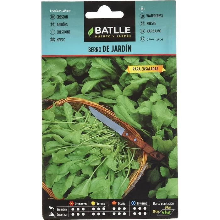 Graines De Cresson De Jardin Photo Stock - Image Du Médecine, Sain