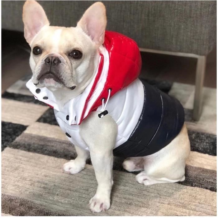 Vêtement chihuahua luxe on sale