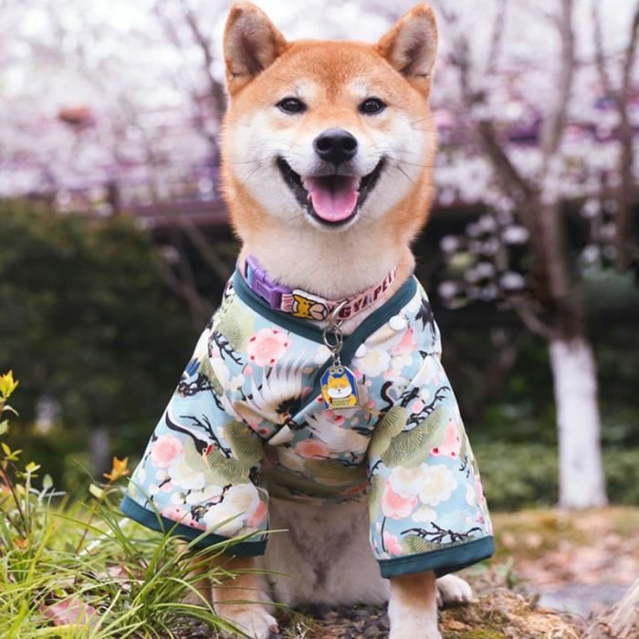 Veste on sale motif japonais