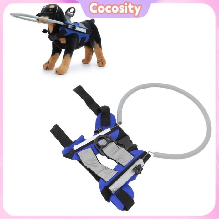 Meilleurs prix pour Cocosity Harnais Halo pour Animaux Aveugles Léger et Réfléchissant pour Chiens Chats - Parfait pour Les Animaux Aveugles