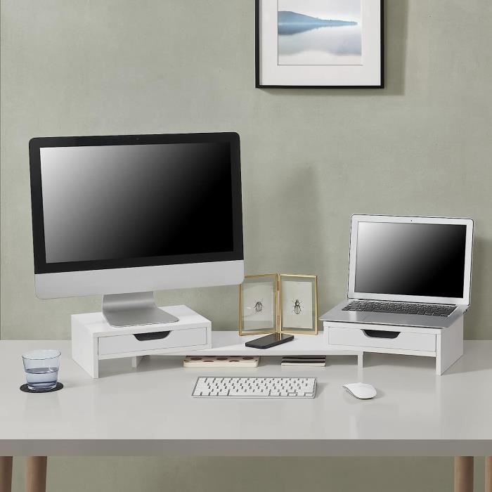 FITUEYES Support avec 2 Tablettes pour Réhausseur Ecran Moniteur Ordinateur