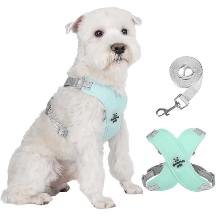 Harnais Pour Chien Sans Traction - Réglable, Respirant, Réfléchissant, Avec Laisse, Pour Petits Et Moyens Chiens