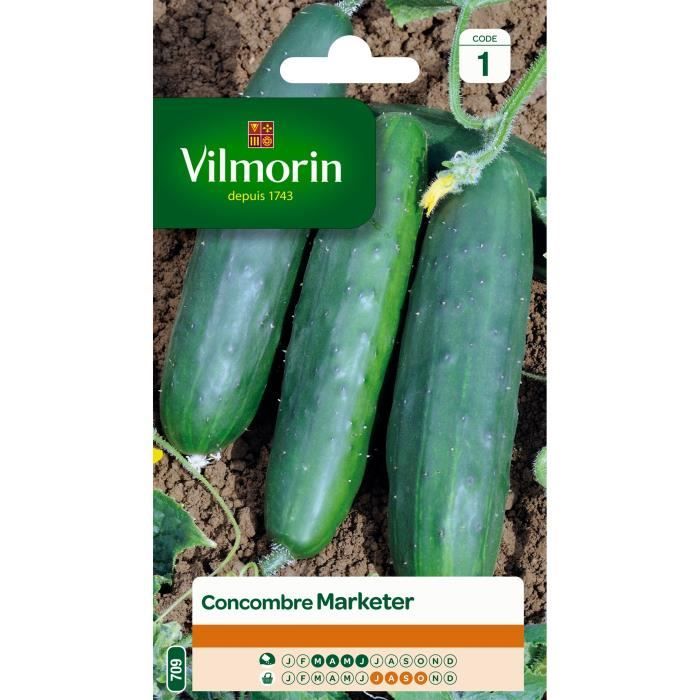 Concombre marketer - VILMORIN - Variété très productive - Plante potagère - Mars à Juillet - Potager et verger