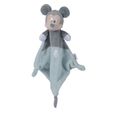 Disney - Doudou Mickey (30cmx30cmx7cm)-0