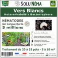 SOLUNEMA - Nématodes HB - Vers Blancs -  5 millions pour 20 à 25 pots soit environ 5 à 10m²-0