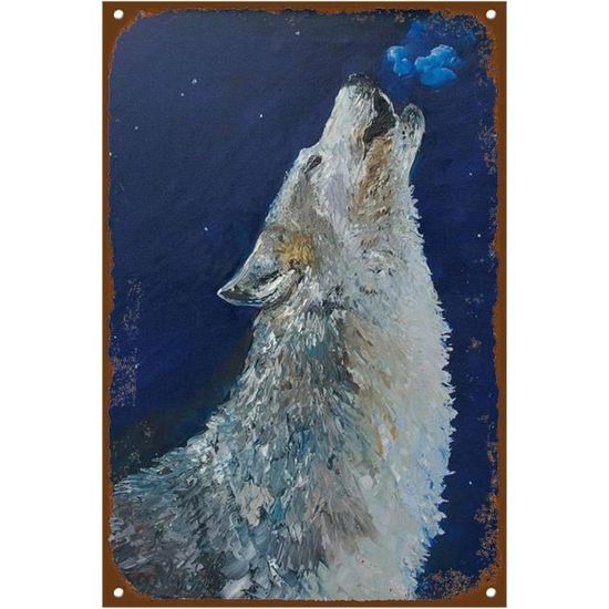 Plaque métal publicitaire 30x40cm plate : WE RECOMMEND STP