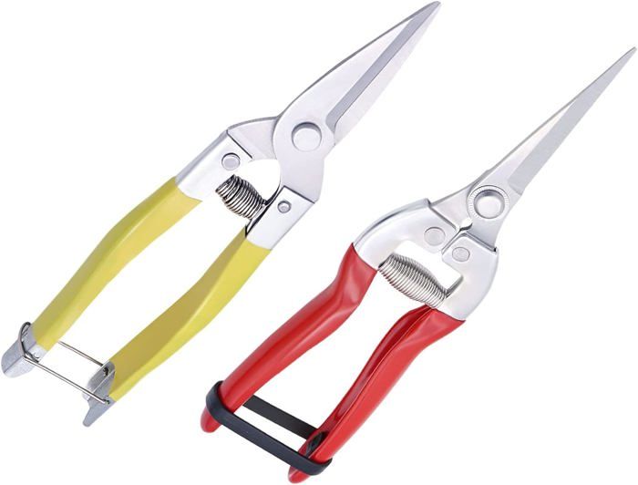 Kit Sécateur Jardin 3 Pièces - Acier Inoxydable - Pour Taille Branches, Fleurs Et Bonsaï