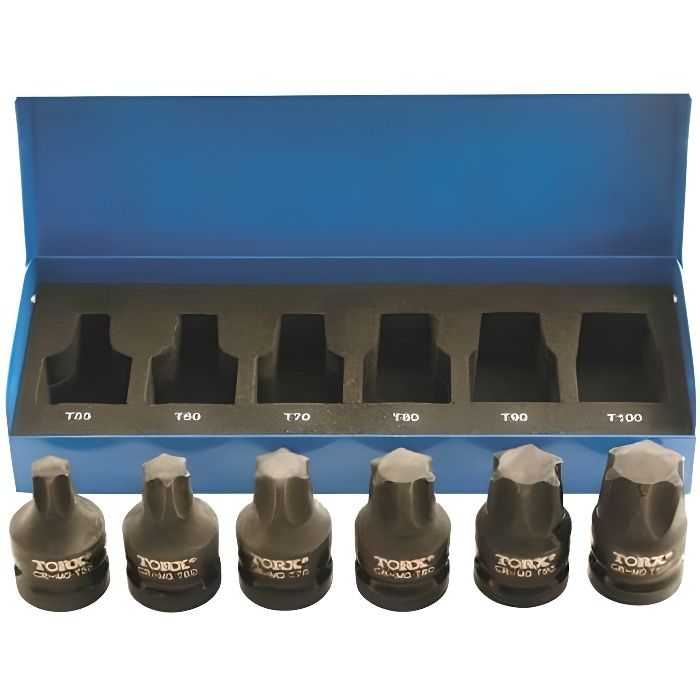 Coffret embout torx de t55 a t100