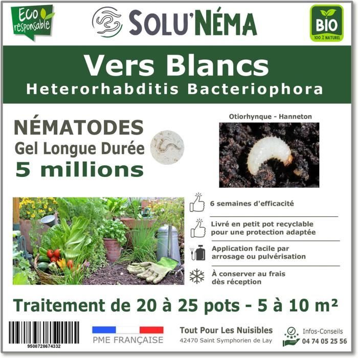SOLUNEMA - Nématodes HB - Vers Blancs - 5 millions pour 20 à 25 pots soit environ 5 à 10m²
