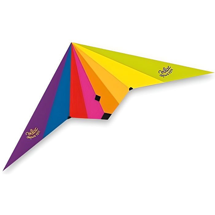 Cerf volant delta double poignée - Vilac