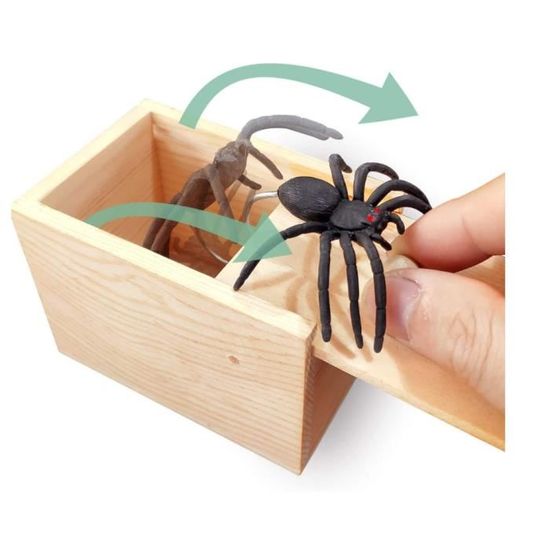 NTGRTY 2 Pcs Boite Surprise Araignee, Fausse Araignée Prank, Boîte Araignée en B