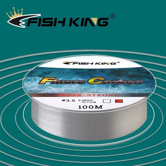 Acheter Ligne de pêche en Nylon FISH KING 120M 4.13-34.12LB ligne  monofilament matériel ligne de pêche pour matériel de pêche à la carpe