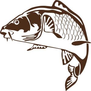 Appât Boîte decal Poisson 7 Vinyle Sticker Van taille 6 x 4 in environ 10.16 cm Windows 15 x 10 cm Voiture
