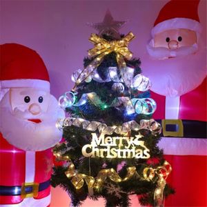 GUIRLANDE D'EXTÉRIEUR Dilwe Ruban lumineux de Noël à piles - Décoration intérieure et extérieure pour sapin, fête et jardin