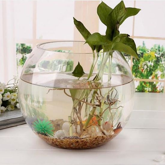 Aquarium,Rond transparent cristal verre bol clair boule vase réservoir conteneur eau