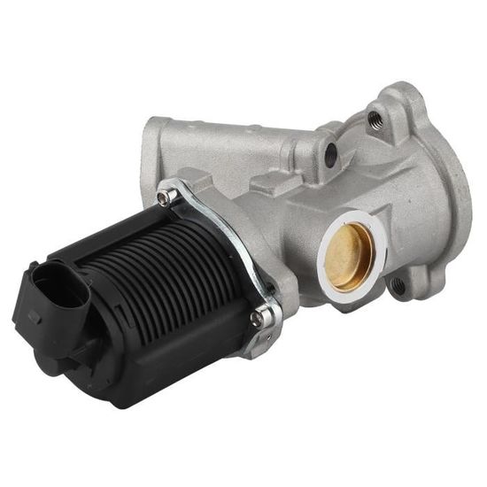 Vanne EGR Frankberg Pour New Beetle 9C1 1C1 1.9L Diesel 2001-2007 038131501N