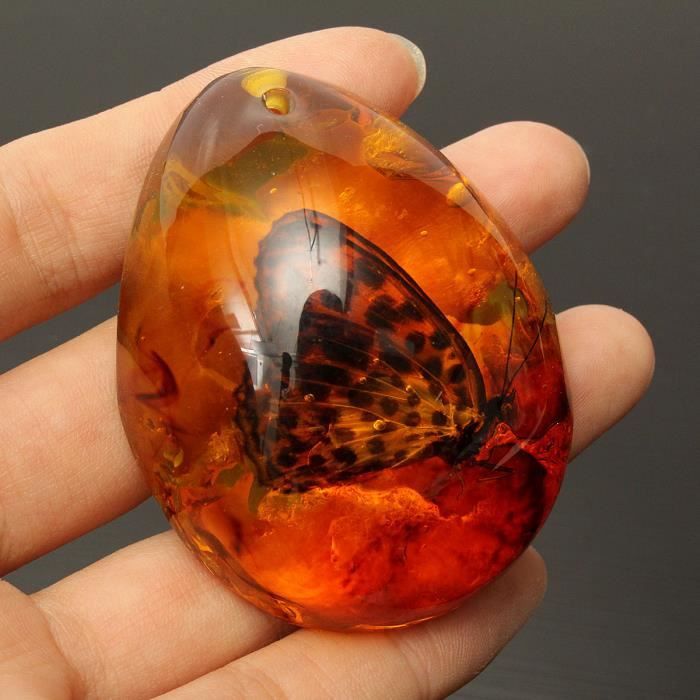 Pendentif en ambre Papillon Insecte pierre chaîne Collier Ovale Necklace Résine
