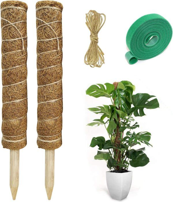 2 Pièces Tuteur Plante Support Plante Grimpante Tuteur Coco Pour Plante