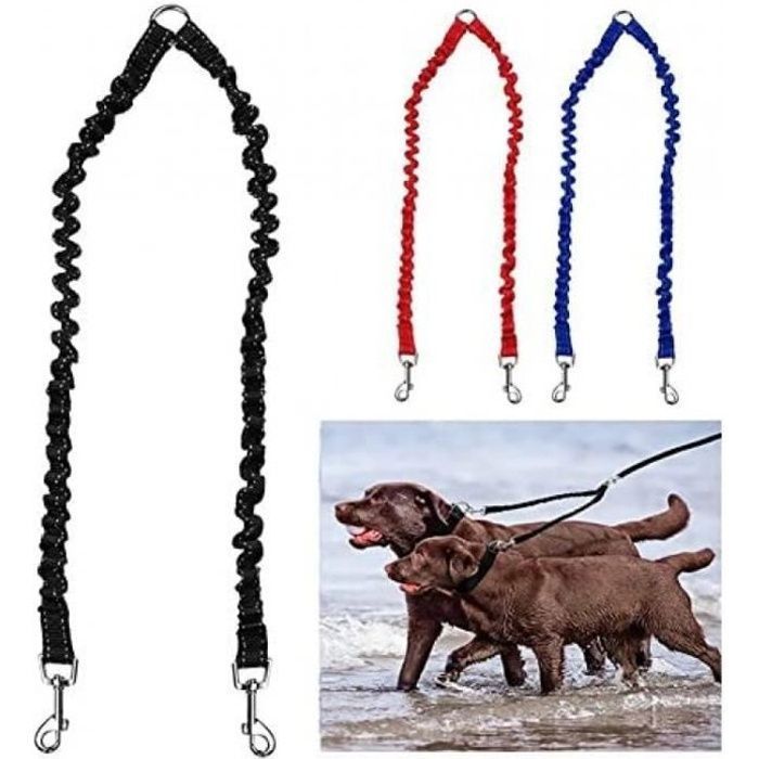 Laisse Double Pour 2 Chiens - Élastique, Réfléchissante, Anti-embrouillement, Avec Sac à Crottes Et Poignée Rembourrée