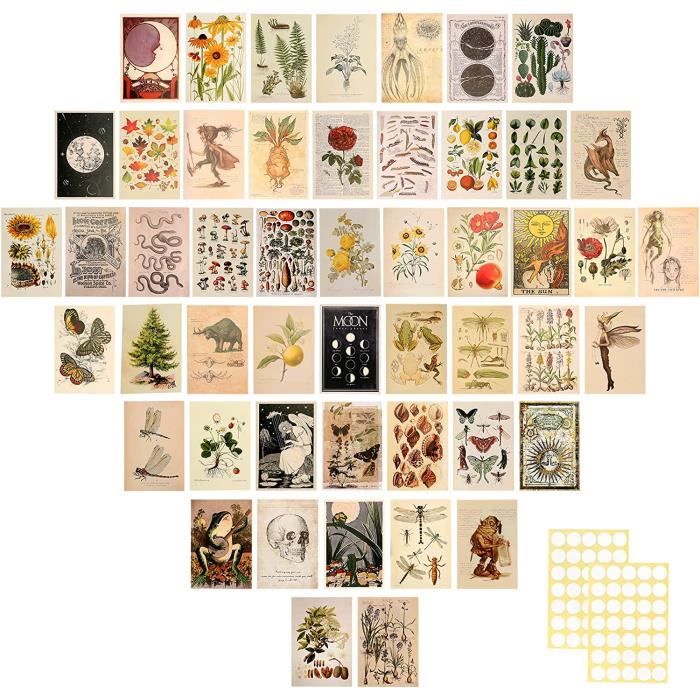 Lot De 50 Cartes Postales Vintage Botanical Et 2 Pastilles Adh sives lot-de-50-cartes-postales-vintage-botanical-et-2-pastilles-adh-sives