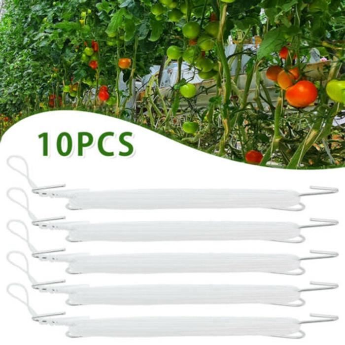 Crochets Pour Tomates, 30 Pièces, Clips De Support Pour Plantes