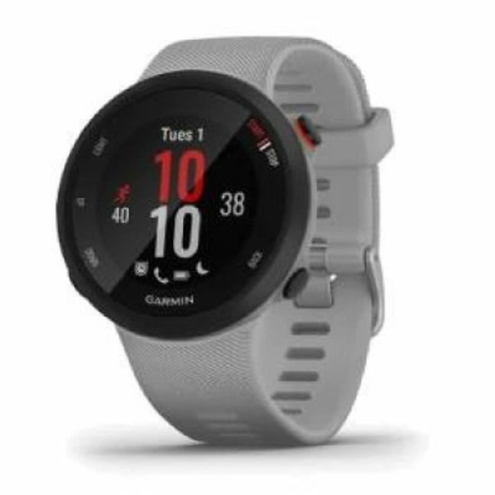 Montre intelligente GARMIN Forerunner 45 Plus Gris 1 04