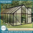 Serre de jardin 8,17 m² - 1 fenêtre et fondation en Anthracite Aluminium jardinage-1