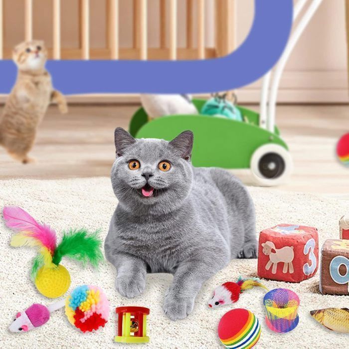 Jouets Chat 24 Pièces Jouet à Plumes pour Chat Chaton et Kitty,Kit Jouet Chats avec chambre,Balles,Plumes,Cloches,Souris et Boules
